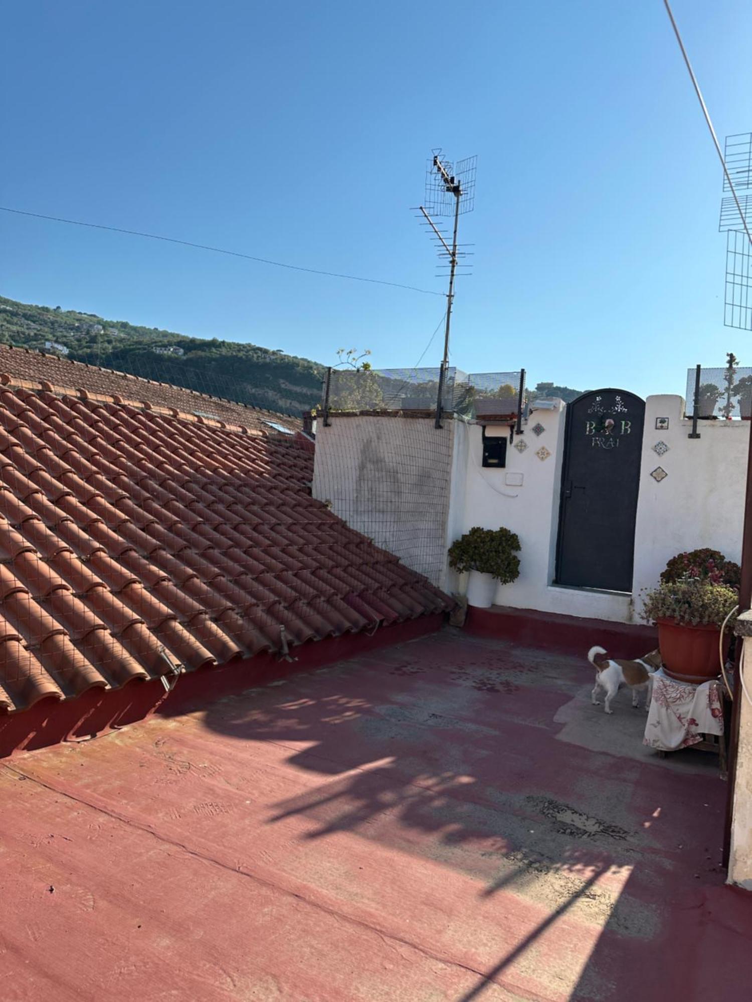 B&B Frai Sorrento Exteriör bild